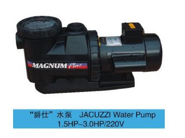 (gu) ʿJACUZZIˮ